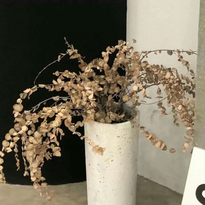 松北福瑞交流群